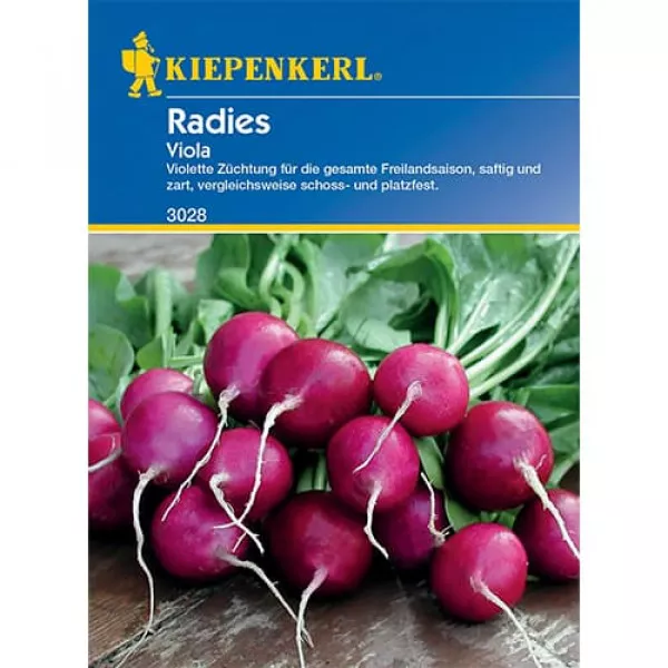 Rzodkiewka Viola
