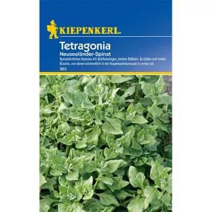 Szpinak Tetragonia
