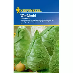 Kapusta Filderkraut