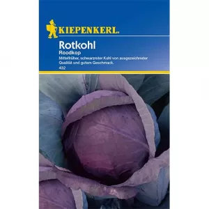 Czerwona kapusta Roodkop