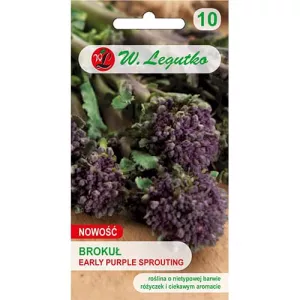 Brokuł Early Purple