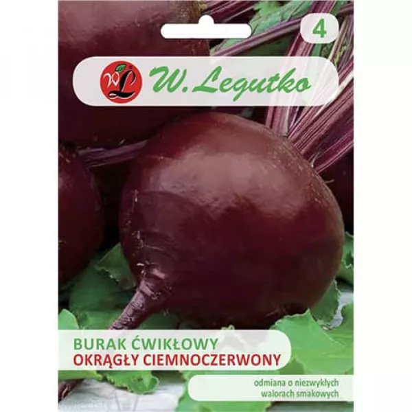 Burak ćwikłowy ciemnoczerwony