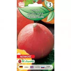 Dynia Uchiki Kuri (Hokkaido)