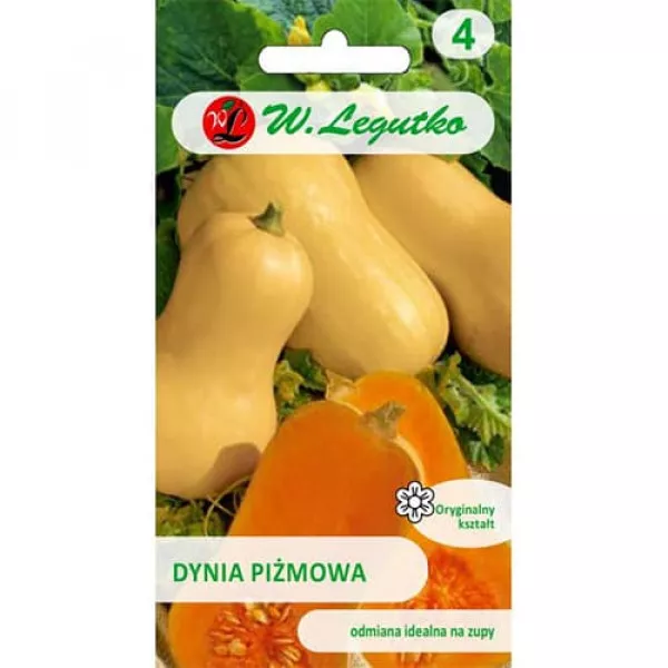 Dynia piżmowa
