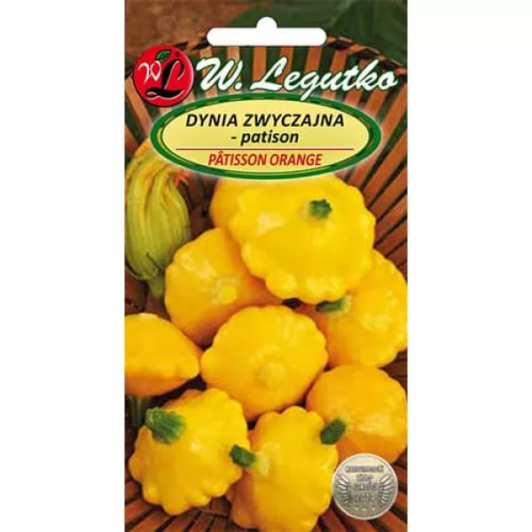 Patisson Orange