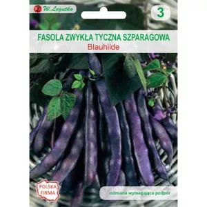 Fasola szparagowa Blauhilde