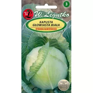 Kapusta Ditmarska