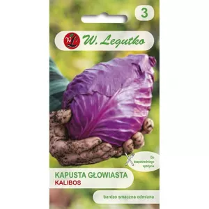 Kapusta fioletowa Kalibos