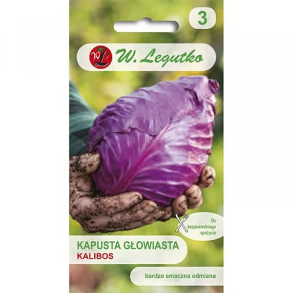 Kapusta fioletowa Kalibos
