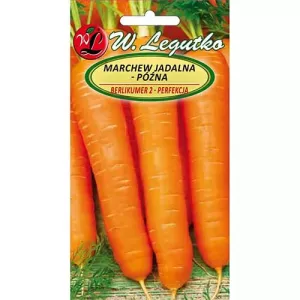 Marchew Belikumer 2