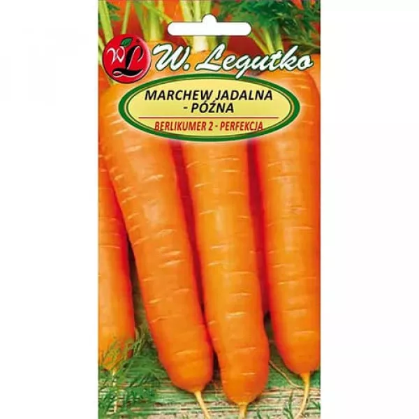 Marchew Belikumer 2