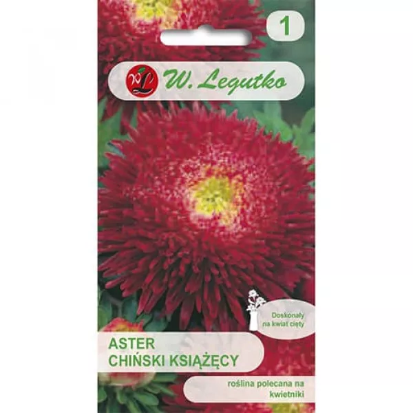 Aster chiński książęcy Aster chiński książęcy