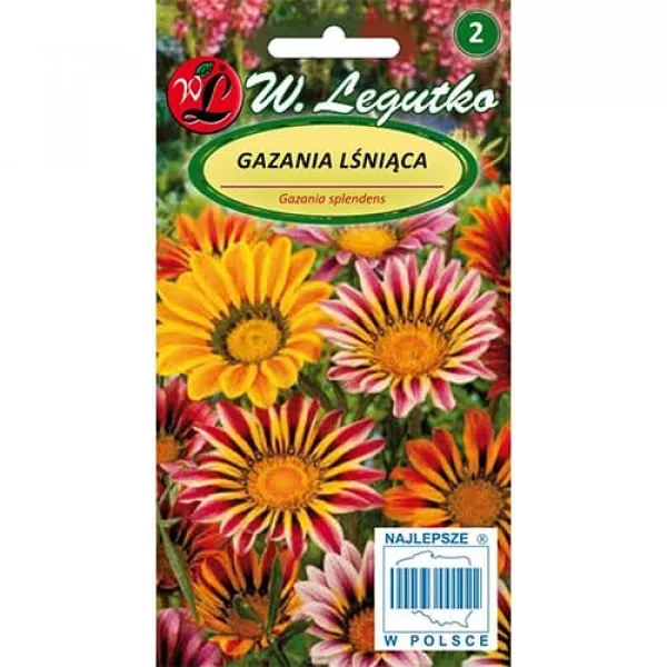 Mieszanka kwiatów Gazania lśniąca