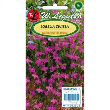 Lobelia zwisła