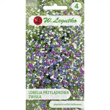 Lobelia zwisła, mix kolorów
