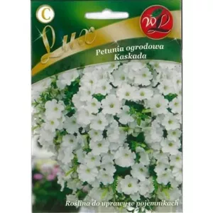 Petunia Cascade White