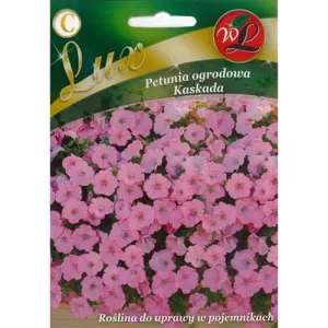 Petunia Cascade Pink
