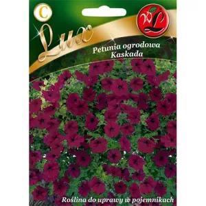 Petunia kaskadowa fioletowa