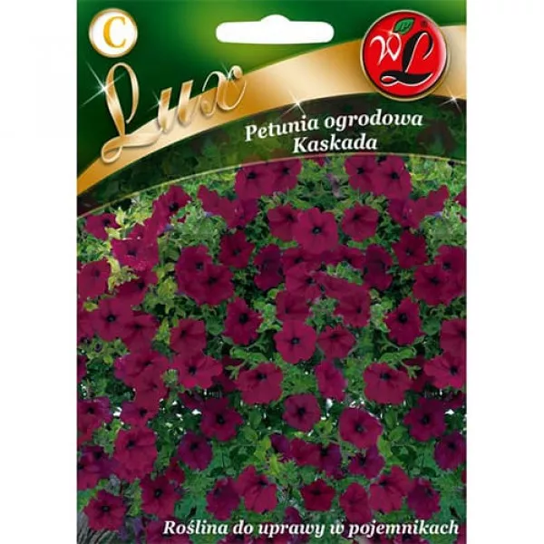 Petunia kaskadowa fioletowa