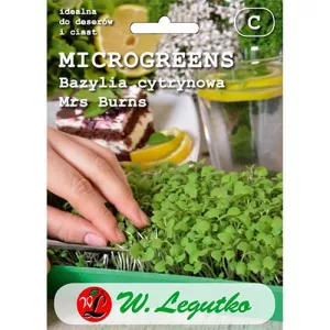 Microgreens - Bazylia cytrynowa