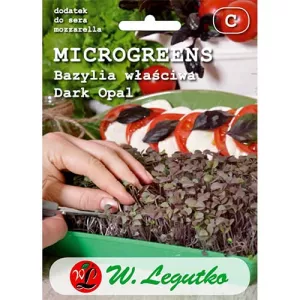 Microgreens - Bazylia Dark Opal