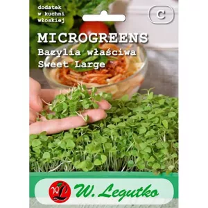 Microgreens Bazylia właściwa