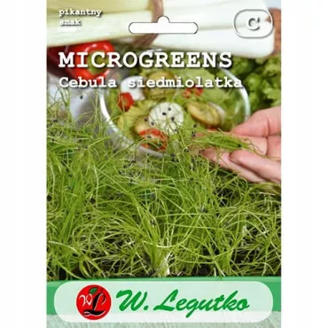 Microgreens - Cebula