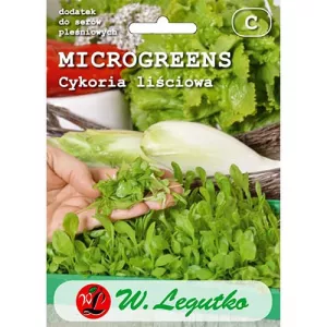 Microgreens - Cykoria