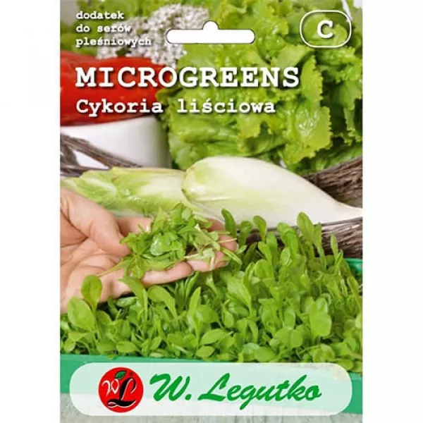 Microgreens - Cykoria