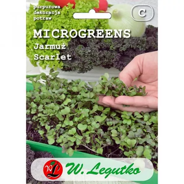 Microgreens - Jarmuż Scarlet