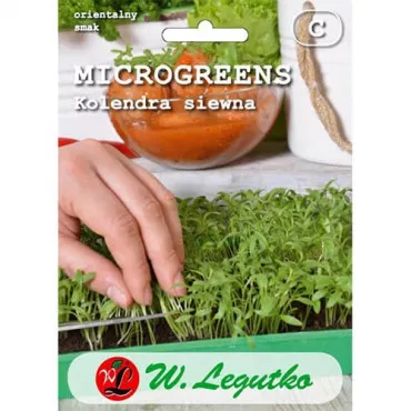 Microgreens - Kolendra