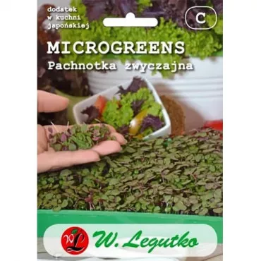 Microgreens - Pachnotka zwyczajna