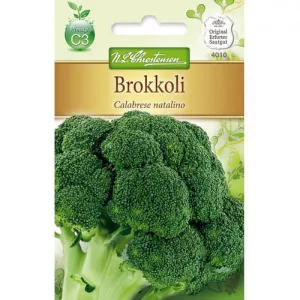 Brokuł Calabrese Natalino