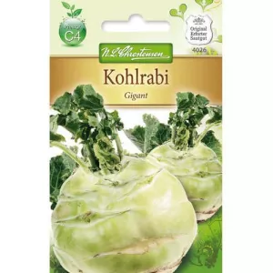 Kalarepa olbrzymia