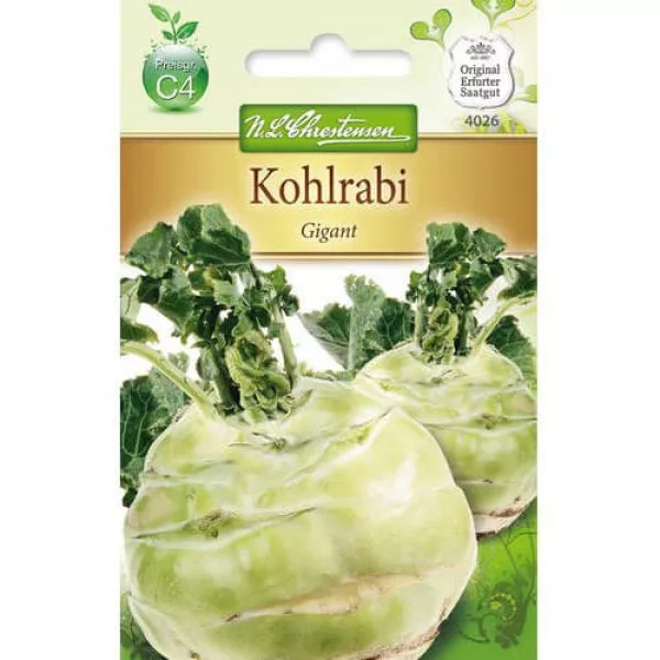 Kalarepa olbrzymia