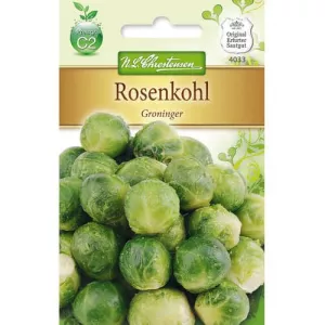 Brukselka Groninger