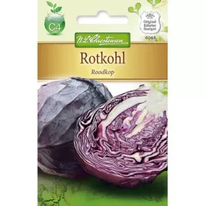 Kapusta czerwona Roodkop