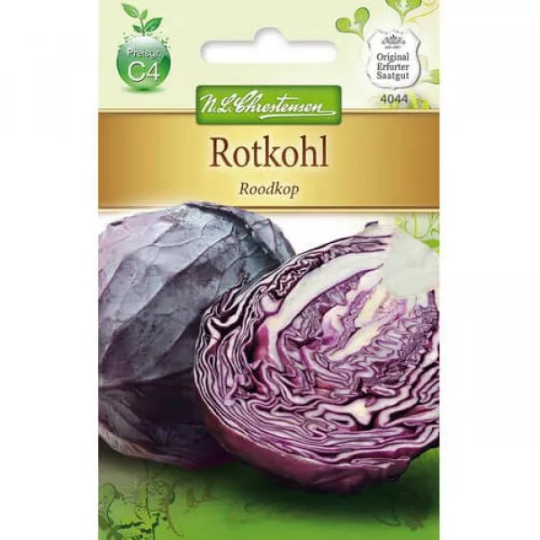 Kapusta czerwona Roodkop