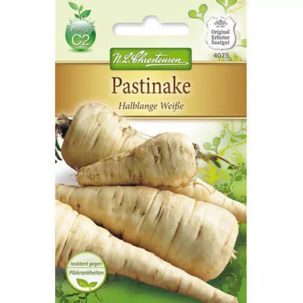 Pasternak Półdługi Biały