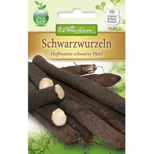 Skorzonera Hoffmanns schwarze Pfahl