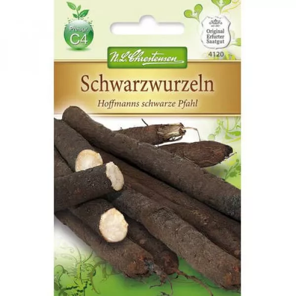 Skorzonera Hoffmanns schwarze Pfahl