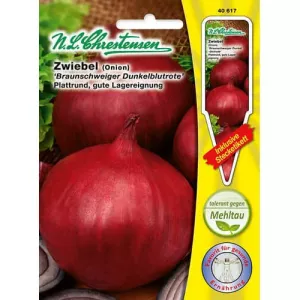 Cebula z Brunszwiku