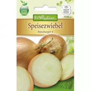 Cebula Rijnsburger 4