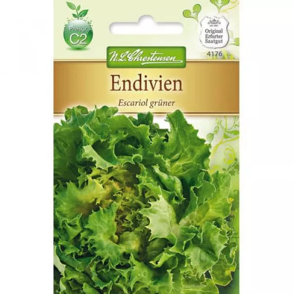 Endywia Escariol gruner