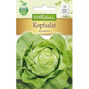 Sałata Attraktion