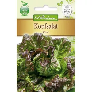 Sałata Pirat
