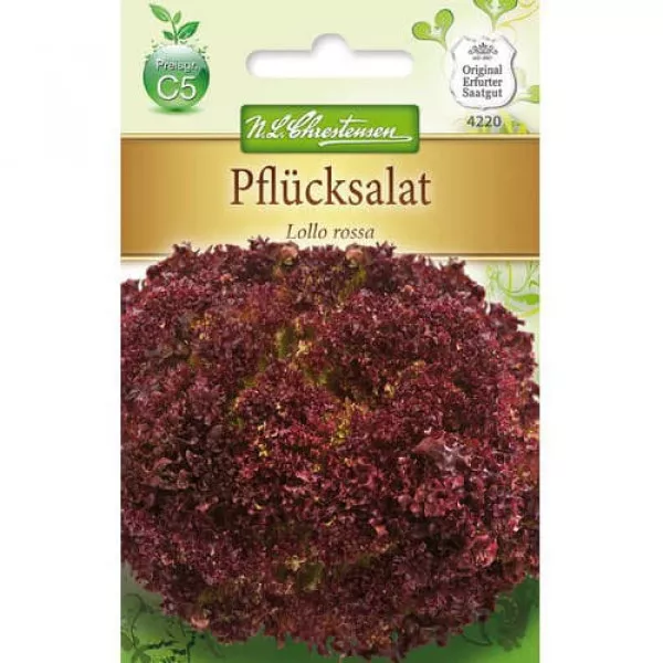 Sałata Lollo Rossa