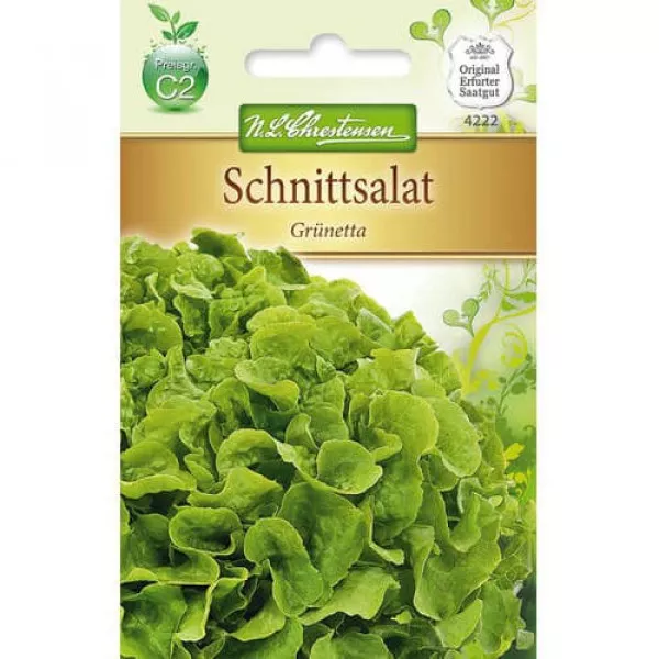 Sałata Grunetta