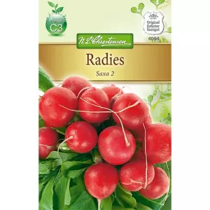 Rzodkiewka Saxa 2