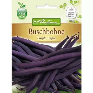 Fasola Purple Teepee